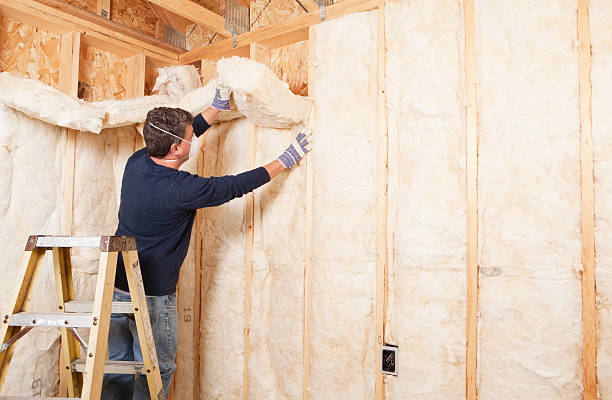 Eco-Friendly Insulation Solutions